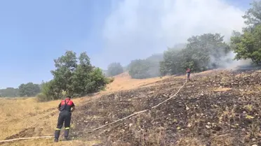Sungurlu'da Tarla Yangını Kontrol Altına Alındı