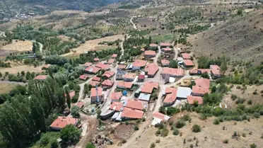 Çubuk'ta Çiçek Balı Hasadı Başladı