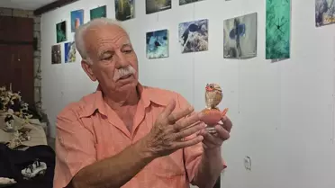 Datça'da Deniz Kabukları Sergisi Açıldı