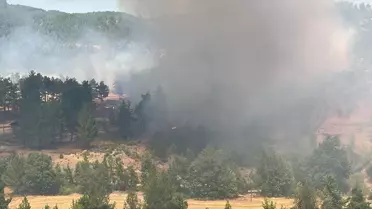 Denizli'de Yangın Kontrol Altına Alındı