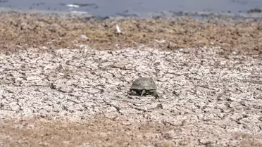 Devegeçidi Barajı'ndaki Kuraklık Canlıları Tehdit Ediyor