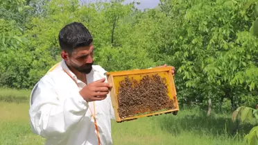 Hemofili Hastası Genç Arıcılıkta Başarılar Elde Ediyor