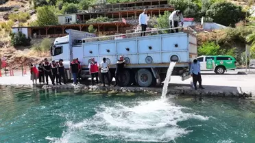 Diyarbakır'da 14 Milyon Balık Yavrusu Bırakıldı