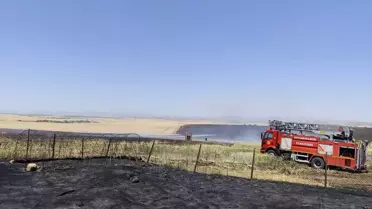 Diyarbakır'da Tarım Arazisinde Yangın