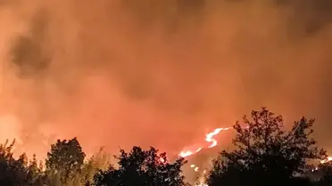 Lice'de Orman Yangınına Müdahale
