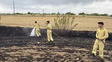 Diyarbakır'da Orman Yangınları Söndürüldü