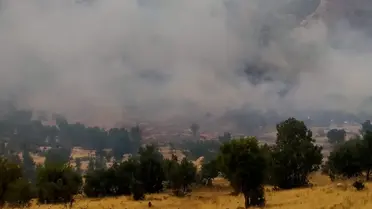 Lice'de Orman Yangınına Müdahale