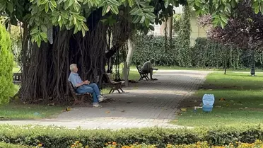 Yüksek Nemle Sıcak Hava Bunalttı