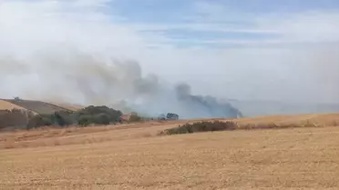 Keşan'da Anız Yangınına Müdahale