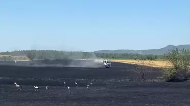 Edirne'de Buğday Tarlasında Yangın