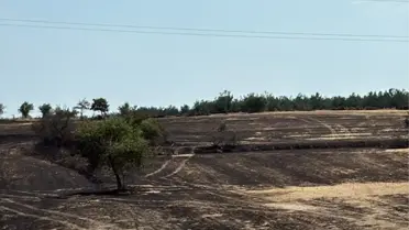 Enez'de Anız Yangını Kontrol Altına Alındı
