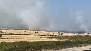 Keşan'da Anız Yangını Söndürüldü