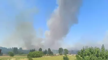 Edirne'de Orman Yangını Söndürüldü