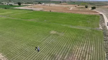 Atıl Araziler Tarıma Kazandırılıyor