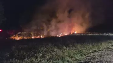 Edirne'de Tunca Nehri Kenarında Yangın