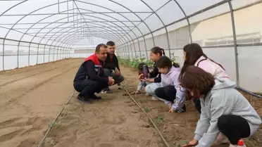 Edirne'de Çocuk Tarım Akademisi