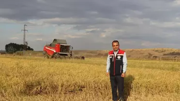 Çeltik Hasadı ve Trafik Eğitimi