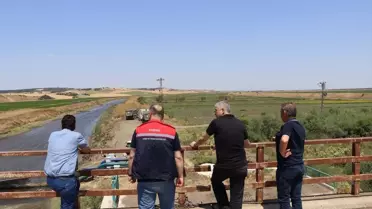 Meriç Nehri'nde Su Seviyeleri Düşüyor