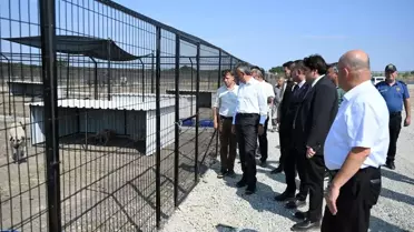 Edirne'de Sahipsiz Hayvanlar için Doğal Yaşam Merkezi