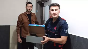 Edremit'te Karga Yavruları Kurtarıldı