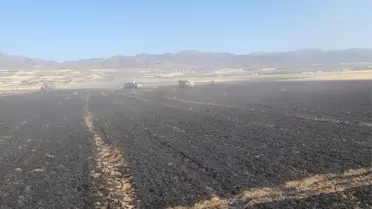 Karakoçan'da Yangın: 50 Dönüm Tarla Zarar Gördü