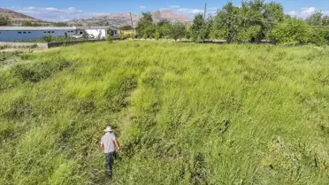 Emekli Müdürün Aronya Üretim Hayali