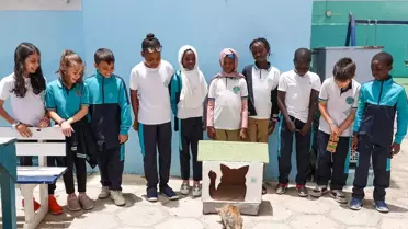 Emine Erdoğan'ın Sıfır Atık Girişimi, Senegal'de kedi evlerine ilham oldu