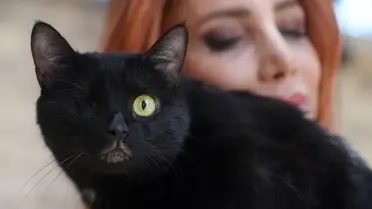 Zeytin'in Umut Dolu İyileşme Hikayesi