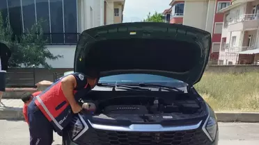 Otomobilin Motorundan Kedi Yavruları Kurtarıldı