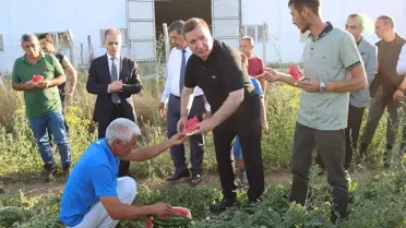 Vali Aydoğdu Karpuz Hasadında