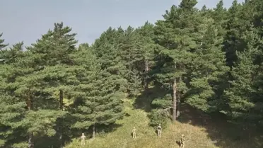 Ormanlık Alanda Mangal Yakanlara Ceza