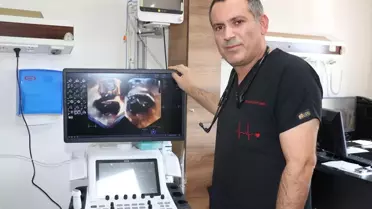 Ameliyatsız Kalp Kapağı Tamiri