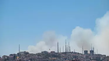 Eymir Gölü'nde Orman Yangını