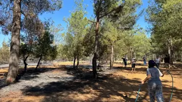 Fethiye'de Orman Yangınına Müdahale