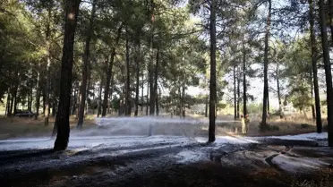 Fethiye'de Orman Yangını Kontrol Altına Alındı