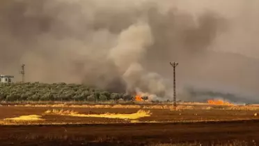 Gaziantep'te Yangın: 500 Dönüm Buğday Yandı