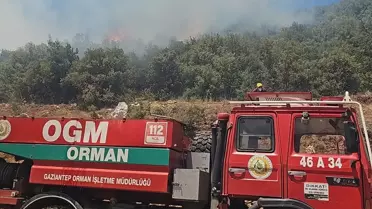 Gaziantep'te Orman Yangını Sönderildi