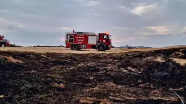Gelibolu'da Arazide Yangın