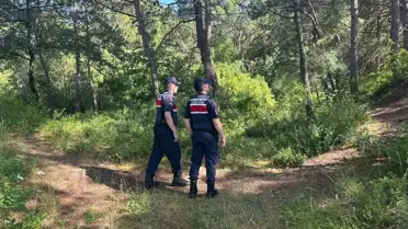 Jandarma Orman Yangınlarına Karşı Devriye Geziyor