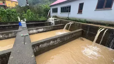 Giresun'da Sağanak Heyelanlar ve Su Baskınları