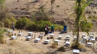 Arıcılara Kovan Tespiti Yapıldı