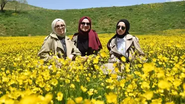 Sarıçiçek Köyü'nde Sarı Çiçek Ziyafeti