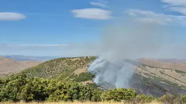 Gümüşhane'de Orman Yangını Söndürüldü