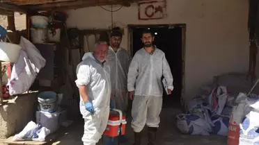 Gümüşhane'de Şap Hastalığı ile Mücadele