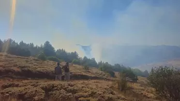 Kelkit'te Orman Yangını Kontrol Altında