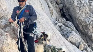 Dağda Mahsur Kalan 5 Keçi Kurtarıldı