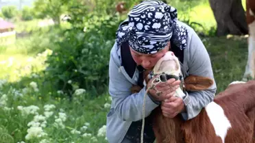 Gürcistanlı Nino, Erzincan'a Değer Katıyor