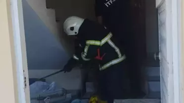 Hatay'da Yılanlar Yakalandı