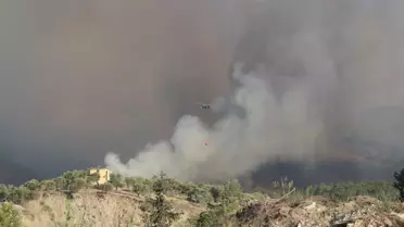 Hatay'da Orman Yangını Sürek Cevap