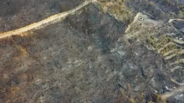 Hatay'da Orman Yangını Havadan Görüntülendi